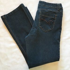 GLORIA VANDERBILT STRAIGHT STRETCHY JEANS SIZE 10